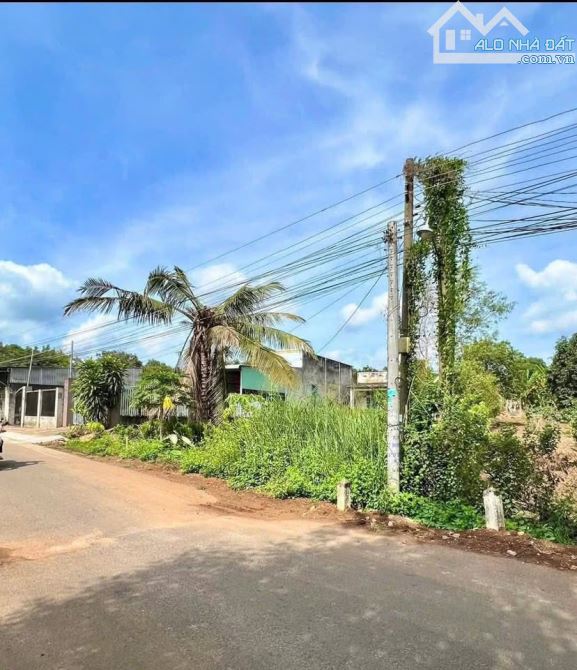 💥 Bán Gấp Lô Đất Giá Chỉ 190 Triệu – Mặt Tiền 8m, Gần KCN - 2