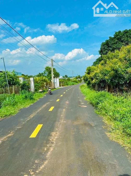 LÔ ĐẤT VƯỜN CÂY ĂN TRÁI GẦN TỈNH LÔ & CAO TỐC, PHỦ HỒNG, GIÁ CỰC RẺ - 2
