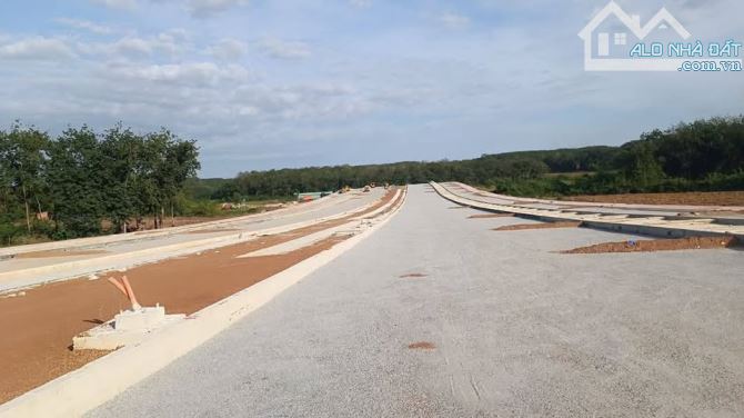 1000m2 cặp sát tuyến 2 (65m) mặt đường 24m Đồng Phú Đồng Nai chỉ 300 triệu - 2