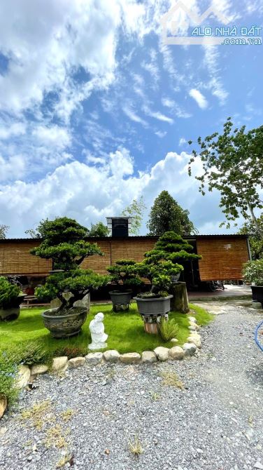 Cần bán đất + khuôn viên nhà vườn ở nghĩ dưỡng mặt tiền Nguyễn Văn Khạ 2000m2 QHDC - 2