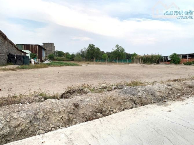 DT 782m mặt tiền đường bê tông. Đất cây lâu năm. Cách đường bà xán 100. - 2