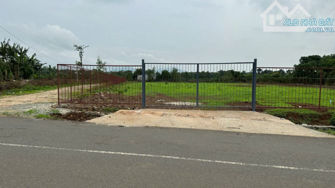 BÁN ĐẤT 2 MẶT TIỀN SÔNG XOÀI, PHÚ MỸ 4100M2 GIÁ 15 TỶ CÓ 400 THỔ CƯ - 2