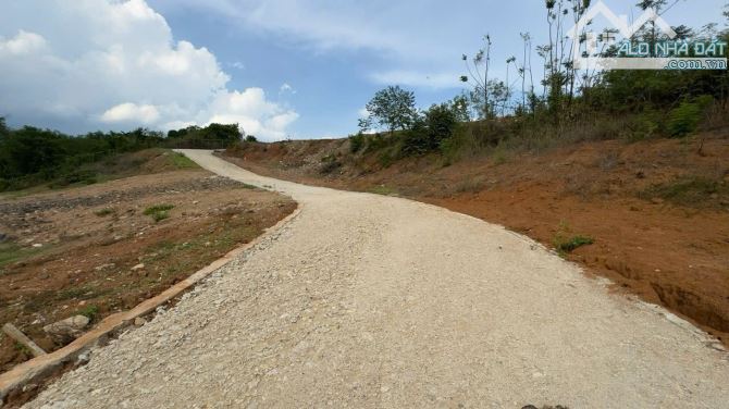 BÁN 1,2 HA ĐẤT HẮC DỊCH TÓC TIÊN 550M2 THỔ CƯ GIÁ CHỈ 21 TỶ - 2