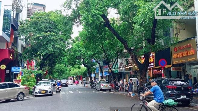Cho Thuê Nhà Phố Trần Xuân Soạn Phố Huế 500 m2 Xây 3 Tầng Mặt Tiền 11M - 2