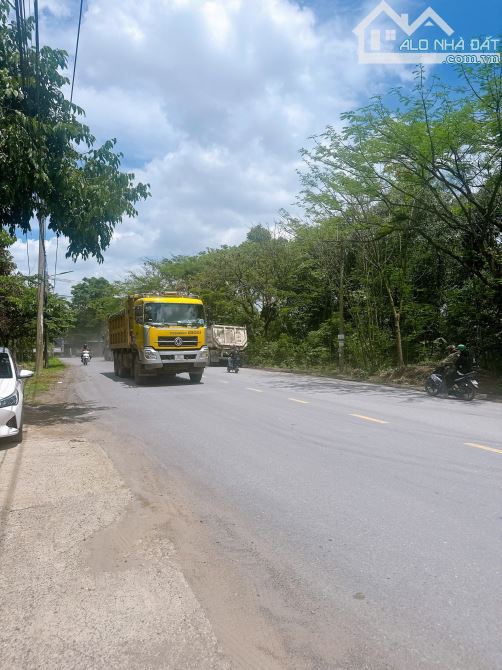 XT474 Cho Thuê Nhà Xưởng khuôn viên sân bãi rộng 6000m2 Gần Trạm thu phí Thiện Tân - 2