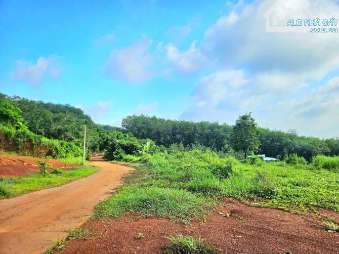 🌿 BÁN GẤP 4 SÀO ĐẤT THỔ VƯỜN –VEW SUỐI TẠI ĐỒNG NAI 🌿 💰chỉ 600 triệu (trọn gói) - 2