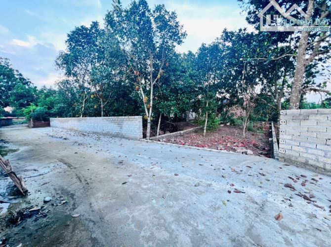 BÁN LÔ ĐẤT 100m² FULL THỔ CƯ – GẦN NGÃ TƯ LỤC QUÂN CỔ ĐÔNG SƠN TÂY - 2