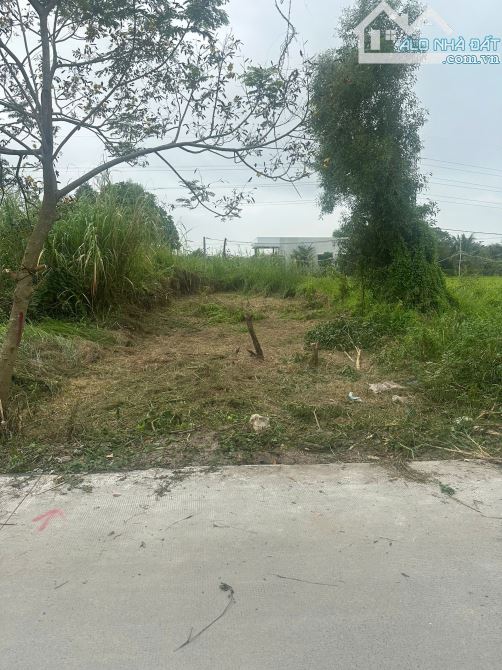 Chính chủ bán lô đất phường Tân An mới, cách tỉnh lộ 827A (500m) - 2