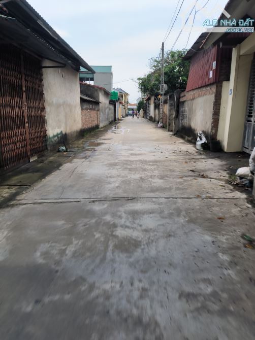 BÁN ĐẤT LÔ GÓC Ô TÔ TÂN DÂN SÓC SƠN 100M2 - Ô TÔ 7 CHỖ GIÁ 3.39 TỶ - 2