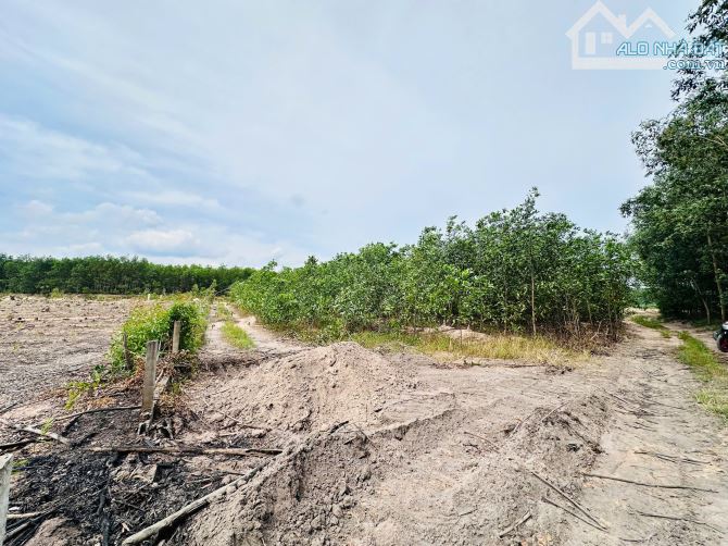 Bán 1009m2 đất Tân Bình, Thị xã LaGi gần sông dinh giá rẻ 1 tỷ sổ riêng - 2