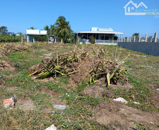 Đất Ngộp-Minh Hoà-Hàm Thuận Nam(Hàm Minh cũ)-Lâm Đồng-2,4 sào+ 2,8 sào - 2