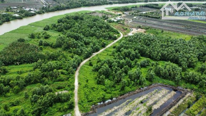 Bán 80 công đất ruộng mặt tiền 320m siêu đẹp ô tô vi vu Tại Hậu Giang - 2