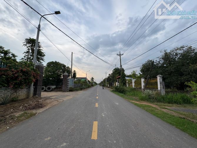 🔴Bán 2.6 Sào Đất Trồng Xoài Ngay Chợ Xã Phú Lý, Giá 1.5 Tỷ Thương Lượng - 2