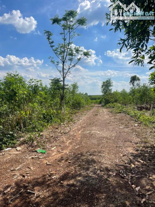🌿 BÁN 6.400m² ĐẤT SUỐI CAO – XUÂN LỘC, 97m MẶT TIỀN ĐẸP, CHỈ 300TR/SÀO 🌿 - 2