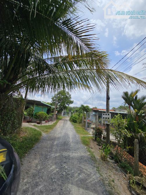 BÁN ĐẤT 1 SẸT ĐƯỜNG AN BÌNH, 8x28. 224m2 – GẦN KCN, TRUNG TÂM TRẢNG BÀNG - 2