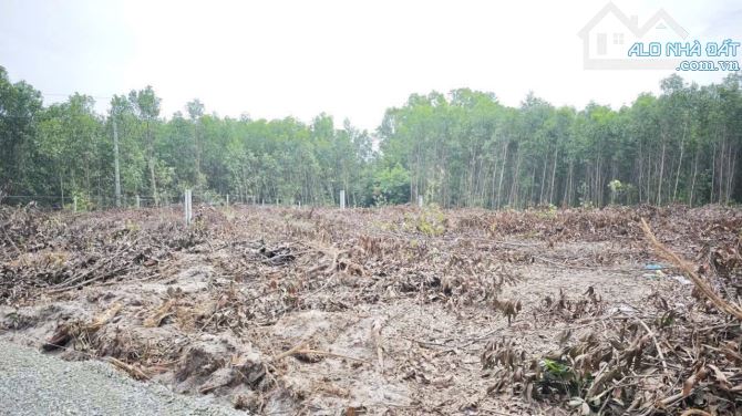 Bán 1033m2 đất ODT Tân Phước - TX LaGi giá ngộp 950 triệu sổ riêng - 2