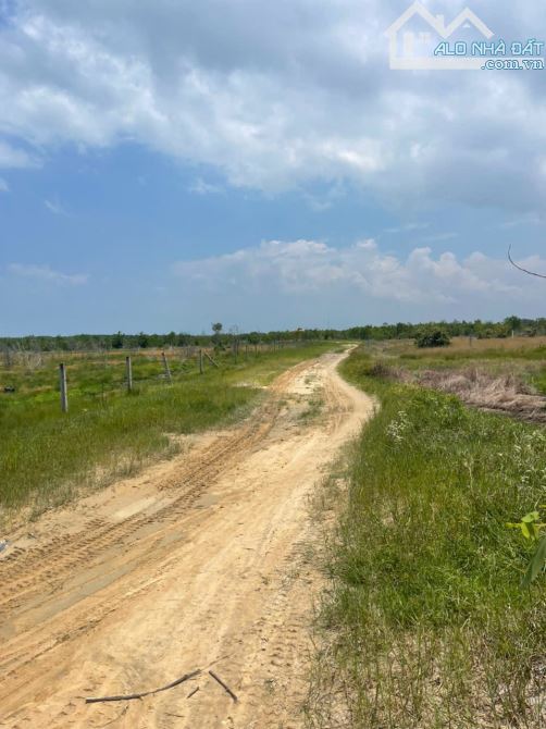 Bán 5949m2 đất Đường Số 1 - Tân BÌnh - LaGi giá ngộp 1.14 tỷ/ sào gần biển - 2