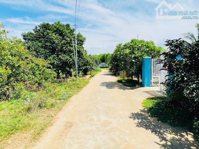 Bán đất Khánh Đông có thổ cư giá rẻ đường thông gần Tỉnh Lộ 8 - 2