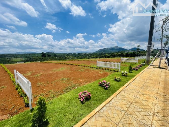 Chủ gửi lô đất nghỉ dưỡng view đồi, 151m2 chỉ 834tr tại Di Linh - 2