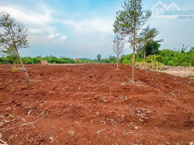 Cần bán 11.093m2 đất phủ hồng, mặt tiền nhựa đến 74m, liền kề cao tốc Long Thành - Hồ Tràm - 2