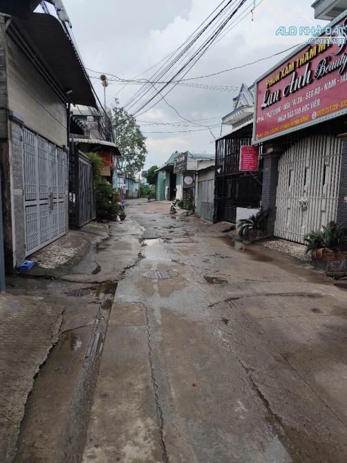 bán đât tặng nhà xưởng ngay vòng xoay An Phú p.An Phú, Tp.Thuận An - 2