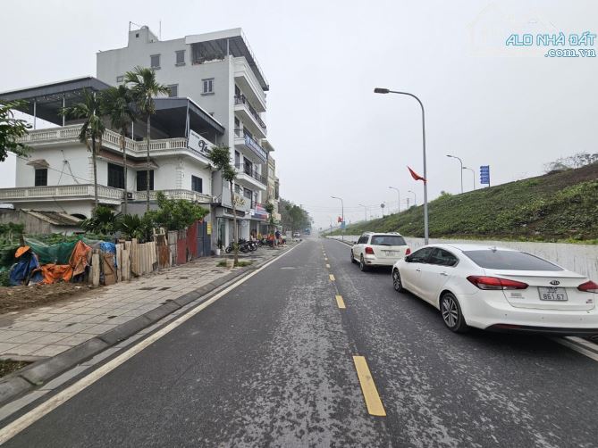 ĐẤT VỊ TRÍ SIÊU ĐẸP MẶT ĐƯỜNG OTO TRÁNH  VỈA HÈ RỘNG Ở VÀ KINH DOANH ĐẸP. - 2