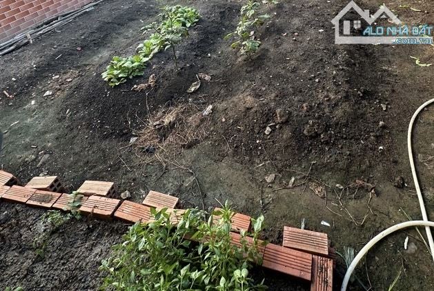 "BAN 50M2 ĐẤT MẶT TIỀN ĐƯỜNG SỐ P. TÂN QUY - TIỆN KDMB - NHỈNH 8ty TL - 2