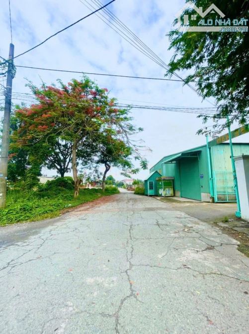 Bán lô đất biệt thự góc 2 Mt 450m2 cực đẹp ngay khu KDC Quân Đoàn 4 P.Tân Phong - 3