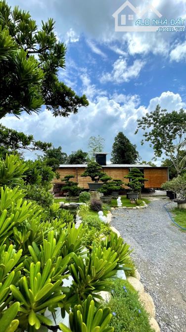 Cần bán đất + khuôn viên nhà vườn ở nghĩ dưỡng mặt tiền Nguyễn Văn Khạ 2000m2 QHDC - 3