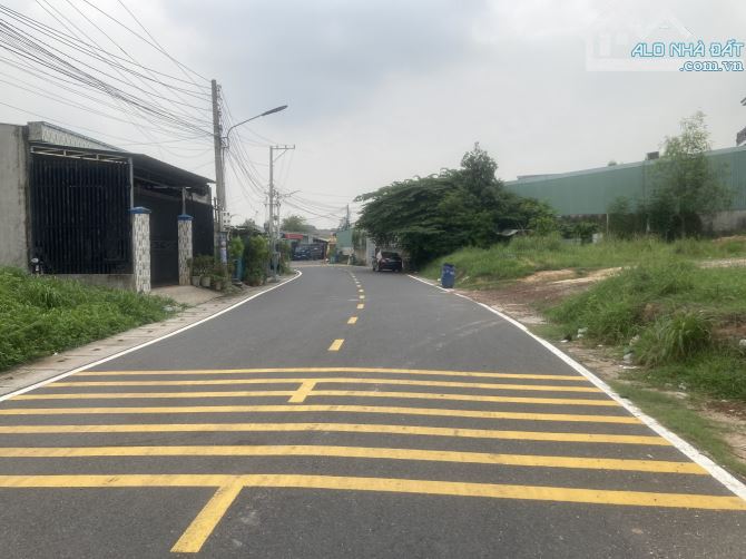 Đất mặt tiền đường Khánh Bình 15 kinh doanh đa ngành nghề - 3