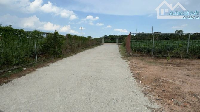 BÁN 1,2 HA ĐẤT HẮC DỊCH TÓC TIÊN 550M2 THỔ CƯ GIÁ CHỈ 21 TỶ - 3