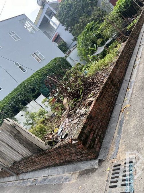 ĐẤT ĐẸP NAM HỒNG, LÔ GÓC 2 THOÁNG 56m2 nhỉnh 4 tỷ - 3
