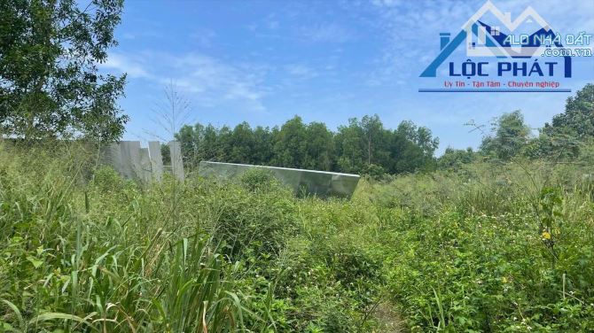 S90-Bán đất SKC 8.550m2  gần KCN Giang Điền  H. Trảng Bom Đồng Nai - 3