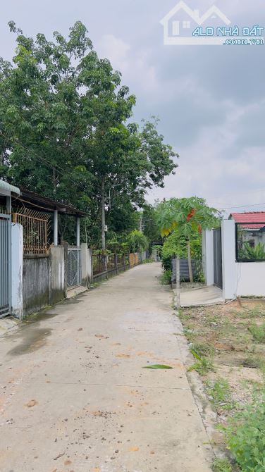 chinh chủ kẹt tiền  bán nhanh lô đất mỹ phước 3, hcm - 3