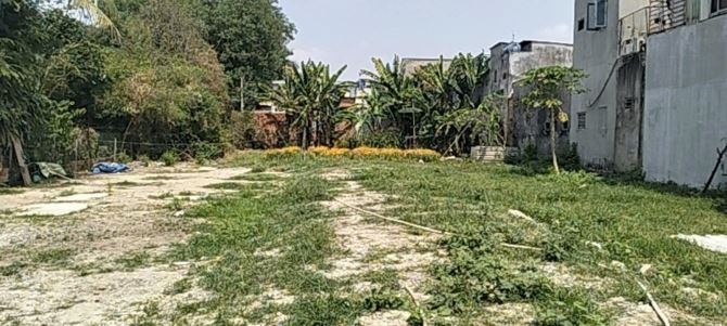 🔥 LÔ ĐẤT MẶT TIỀN – TÂN HIỆP 14, HÓC MÔN  🔥GIÁ 26 TỶ 📏 DT: 20 × 50m (Vuông vức) – Full - 3