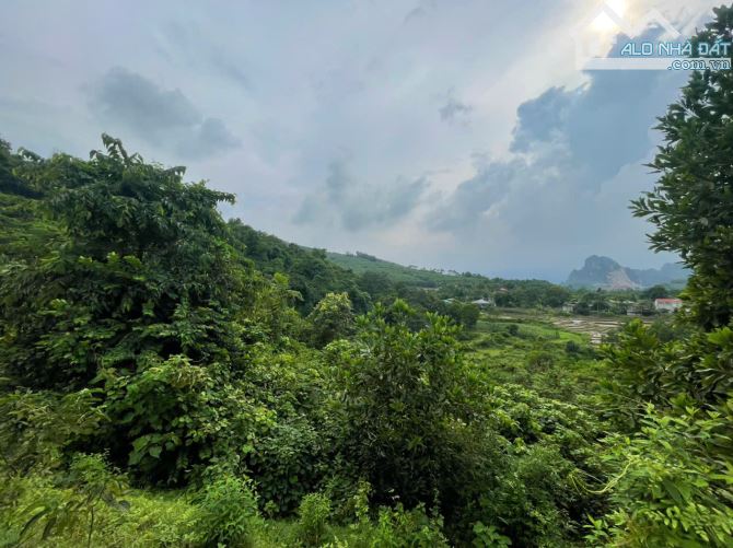 Bán 2.35ha đất hỗn hợp thổ cư đất vườn bám suối View cánh đồng tại Lương Sơn, Hòa Bình - 3