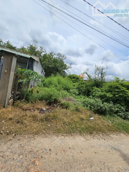 BÁN ĐẤT 1 SẸT ĐƯỜNG AN BÌNH, 8x28. 224m2 – GẦN KCN, TRUNG TÂM TRẢNG BÀNG - 3