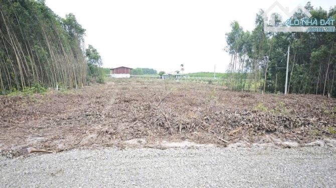 Bán 1033m2 đất ODT Tân Phước - TX LaGi giá ngộp 950 triệu sổ riêng - 3