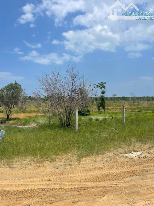 Bán 5949m2 đất Đường Số 1 - Tân BÌnh - LaGi giá ngộp 1.14 tỷ/ sào gần biển - 3
