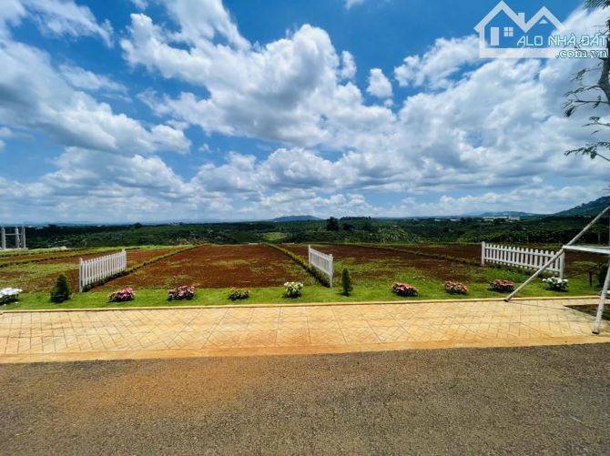 Chủ gửi lô đất nghỉ dưỡng view đồi, 151m2 chỉ 834tr tại Di Linh - 3