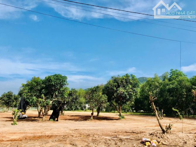 BÁN ĐẤT NGAY HỒ SỞ BÔNG – GẦN BIỂN PHƯỚC HẢI – VIEW NÚI MINH ĐẠM CHỈ 1,3 TỶ - 3