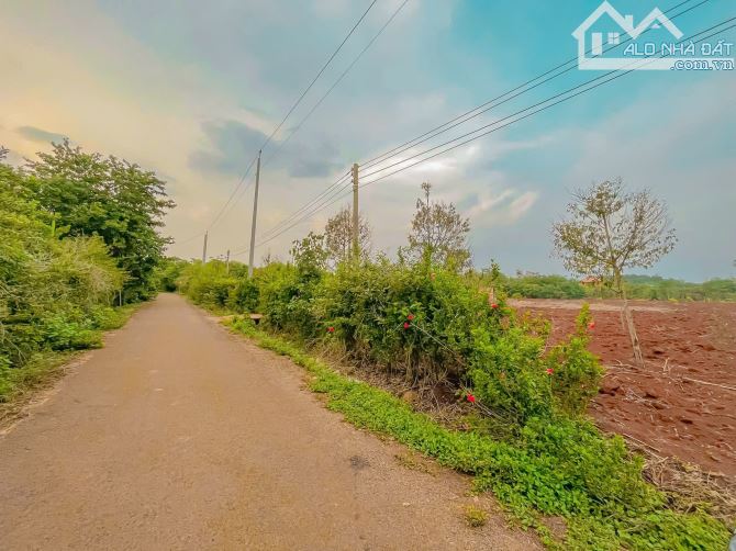 Cần bán 11.093m2 đất phủ hồng, mặt tiền nhựa đến 74m, liền kề cao tốc Long Thành - Hồ Tràm - 3