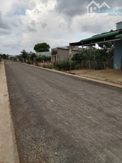 bán nhà 1002m2 gia hiệp di linh lâm đồng 2,5 tỷ đất 19 x 60m mặt đường lớn - 3