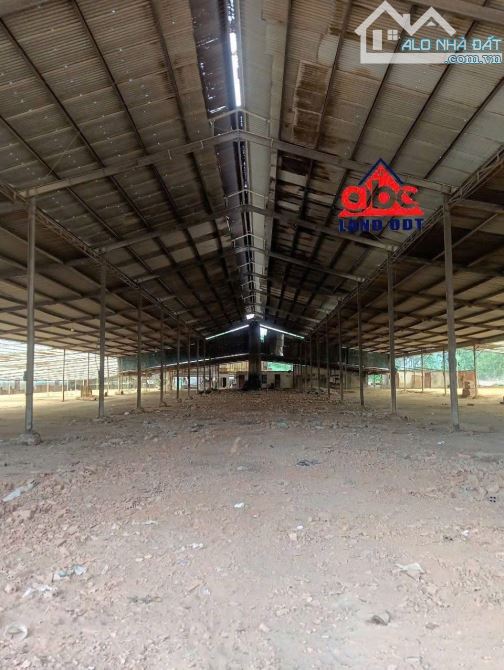 Cho Thuê kho Xưởng tổng diện tích  1ha thuộc xã  An Viễn Trảng Bom Đồng Nai - 3