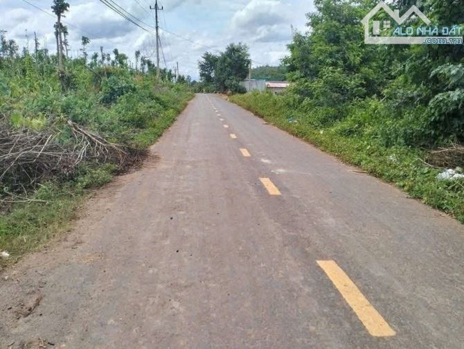 Hơn 5 sào đất liên kết mặt tiền đường nhựa Eatieu cũ - 4