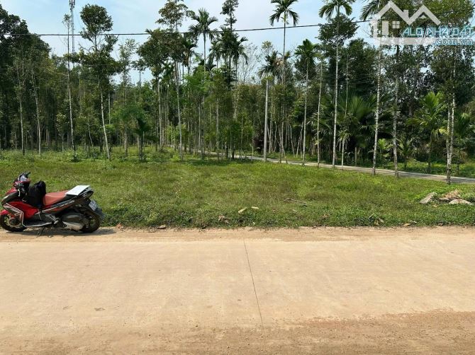 Mặt tiền liên xã Châu Chữ, Thuỷ Bằng, Tp Huế - 4