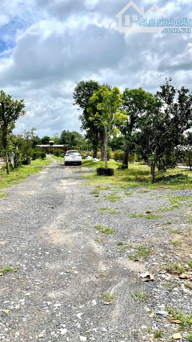 Cần bán đất + khuôn viên nhà vườn ở nghĩ dưỡng mặt tiền Nguyễn Văn Khạ 2000m2 QHDC - 4