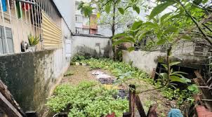 ĐẤT VÀNG MẶT PHỐ TRẦN CUNG – KINH DOANH ĐỈNH – 80M² – 23.6 TỶ (2ĐTL2025140) - 4