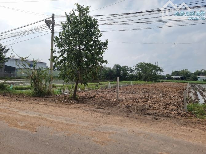 10x69 giá 6.8 tỷ đường nhựa Chùa Tháp. Cách tỉnh lộ 823D tầm 800m - 4