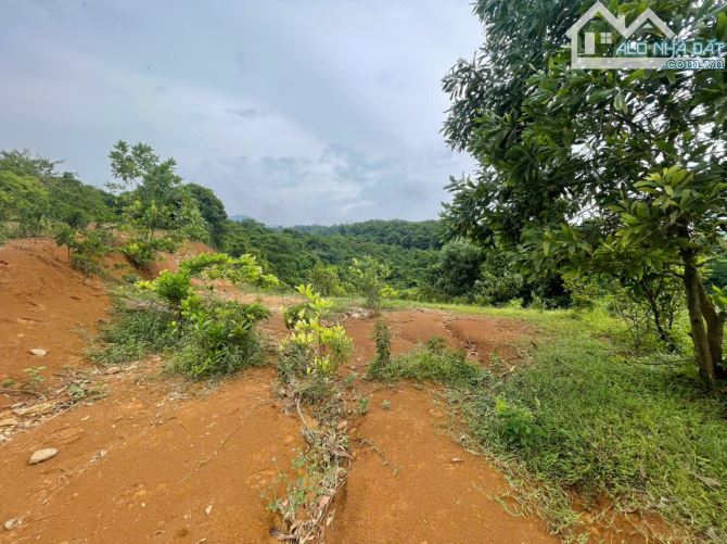 Bán 2.35ha đất hỗn hợp thổ cư đất vườn bám suối View cánh đồng tại Lương Sơn, Hòa Bình - 4